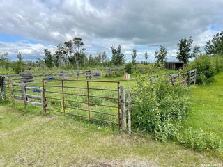 Photo 45: Spiritwood Acreage 12 acres in Spiritwood: Residential for sale (Spiritwood Rm No. 496)  : MLS®# SK935718