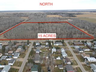 Photo 7: Lot 3 BlkB Plan 4266MC: Rural Strathcona County Vacant Lot/Land for sale : MLS®# E4270504