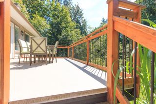 Photo 33: 4535 UDY Road in Abbotsford: Sumas Mountain House for sale : MLS®# R2101409