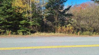 Photo 6: West Petpeswick Road in West Petpeswick: 35-Halifax County East Vacant Land for sale (Halifax-Dartmouth)  : MLS®# 202224453