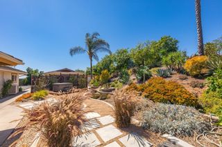 Photo 53: 31555 Cottontail Lane in Bonsall: Residential for sale (92003 - Bonsall)  : MLS®# OC19257127