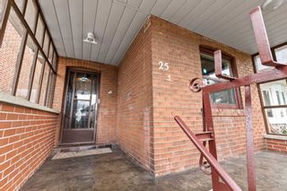 Photo 2: 25 Chamberlain Avenue E in Toronto: Briar Hill-Belgravia House (Bungalow) for lease (Toronto W04)  : MLS®# W5747671