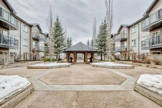 Photo 17: 204 1727 54 Street SE in Calgary: Penbrooke Meadows Apartment for sale : MLS®# A2019680