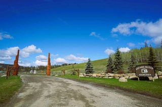 Photo 48: 25 Chinook Ridge: Rural Foothills County Detached for sale : MLS®# A2108869