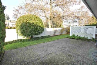 Photo 11: 1201 21937 48 Avenue in Langley: Murrayville Townhouse for sale in "Orangewood" : MLS®# R2322838
