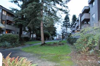 Photo 17: 2 2447 KELLY Avenue in Port Coquitlam: Central Pt Coquitlam Condo for sale in "ORCHARD VALLEY ESTATES" : MLS®# R2125512