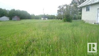 Photo 12: 5203 42 Avenue: Smoky Lake Town Land Commercial for sale : MLS®# E4306098