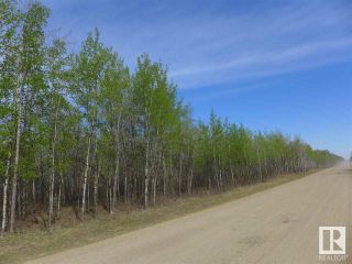 Photo 3: 50 Ave RR 281: Rural Wetaskiwin County Rural Land/Vacant Lot for sale : MLS®# E4299353