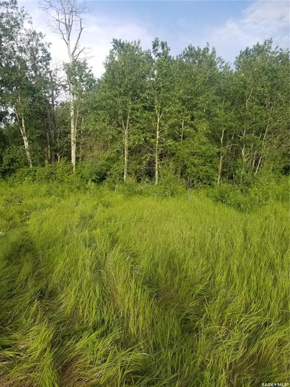 Main Photo: Hurl Land in Canwood: Lot/Land for sale (Canwood Rm No. 494)  : MLS®# SK906635
