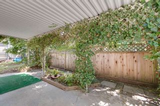 Photo 32: 12086 193A Street in Pitt Meadows: Central Meadows House for sale : MLS®# R2193215