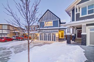 Photo 44: 127 Masters Rise SE in Calgary: Mahogany Detached for sale : MLS®# A1186669