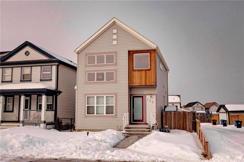 Main Photo: 123 COPPERSTONE Gardens SE in Calgary: Copperfield House for sale : MLS®# C4168083