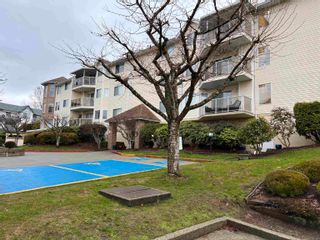 Photo 4: 206 22611 116 Avenue in Maple Ridge: East Central Condo for sale in "Rosewood Court" : MLS®# R2747276