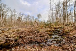 Photo 2: Lot N2 Nature Haven Road in Lake Paul: Kings County Vacant Land for sale (Annapolis Valley)  : MLS®# 202207656