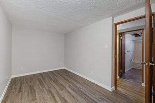 Photo 29: 3 Bermuda Drive NW in Calgary: Beddington Heights Detached for sale : MLS®# A1172789