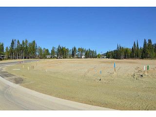 Photo 6: LOT 12 BELL Place in Mackenzie: Mackenzie -Town Land for sale in "BELL PLACE" : MLS®# N227305