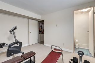 Photo 20: 7239 25 Street SE in Calgary: Ogden Detached for sale : MLS®# A2012593