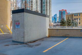 Photo 23: 203 1202 13 Avenue SW in Calgary: Beltline Apartment for sale : MLS®# A2095854