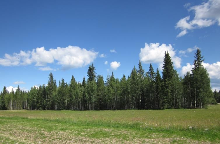 Main Photo: 44 Boundary: Rural Clearwater County Residential Land for sale : MLS®# A2045034