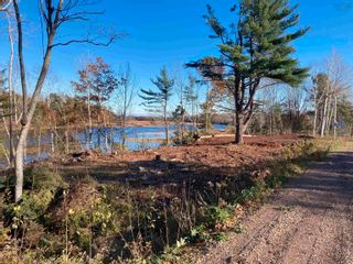 Photo 5: Lot Highway 311 in Tatamagouche: 103-Malagash, Wentworth Vacant Land for sale (Northern Region)  : MLS®# 202323312