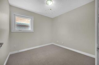 Photo 19: 251 Martindale Boulevard NE in Calgary: Martindale Detached for sale : MLS®# A2063220