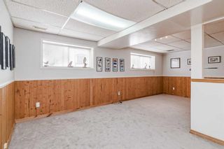 Photo 26: 184 Doverglen Crescent SE in Calgary: Dover Semi Detached (Half Duplex) for sale : MLS®# A2071648