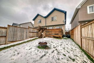 Photo 41: 132 Elgin Meadows View SE in Calgary: McKenzie Towne Semi Detached (Half Duplex) for sale : MLS®# A2127795