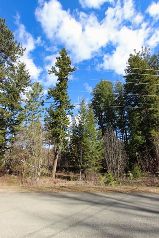Photo 6: Lot B Zinck Road in Scotch Creek: Land Only for sale : MLS®# 10249220