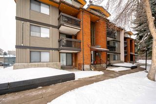 Photo 2: 203B 7301 4A Street SW in Calgary: Kingsland Apartment for sale : MLS®# A2106207