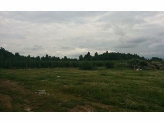 Photo 5: 29700 HUNTINGDON Road in Abbotsford: Aberdeen Land for sale : MLS®# F1415007