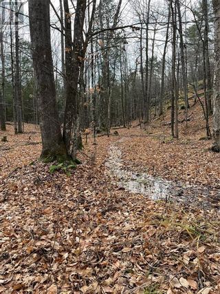 Photo 3: UMPHERSON MILLS ROAD in Lanark Highlands: Vacant Land for sale : MLS®# 1328417