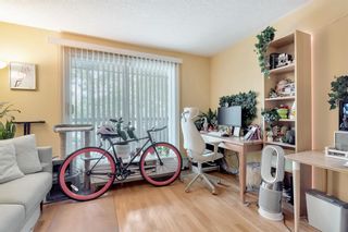 Photo 9: 305 60 38A Avenue SW in Calgary: Parkhill Apartment for sale : MLS®# A2050079