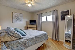 Photo 11: 3303 39 Street SE in Calgary: Dover Detached for sale : MLS®# A1084861