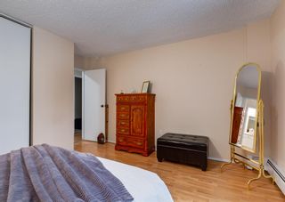 Photo 17: 208 816 89 Avenue SW in Calgary: Haysboro Apartment for sale : MLS®# A2013027