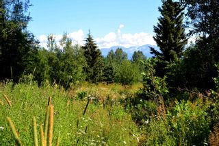 Photo 7: 1270 MORGAN Road in Smithers: Smithers - Rural Land for sale in "MORGAN MEADOWS" (Smithers And Area)  : MLS®# R2714118