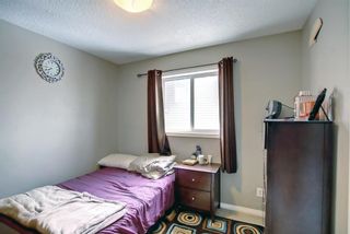 Photo 21: 250 Martinwood Place NE in Calgary: Martindale Detached for sale : MLS®# A1186078