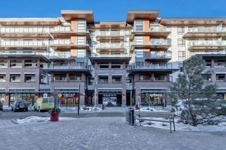 Photo 22: 215 122 Mahogany Centre SE in Calgary: Mahogany Apartment for sale : MLS®# A2019878