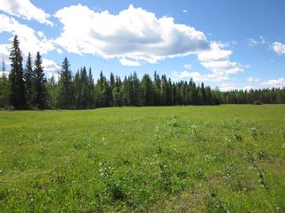 Photo 7: 48 Boundary Close: Rural Clearwater County Land for sale : MLS®# A1050682