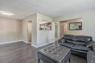 Photo 42: 1027 34 Street SE in Calgary: Albert Park/Radisson Heights Detached for sale : MLS®# A2050547