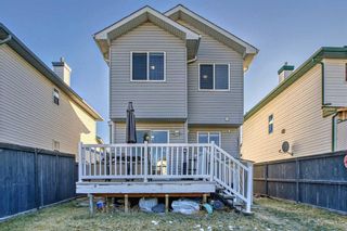 Photo 28:  in Calgary: Country Hills Detached for sale : MLS®# A2099819