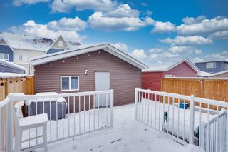 Photo 16: 47 Red Embers Lane NE in Calgary: Redstone Detached for sale : MLS®# A2021820