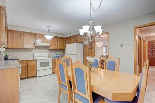 Photo 12: 243 Debborah Place in Whitchurch-Stouffville: Stouffville House (Bungalow) for sale : MLS®# N4896232