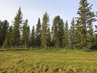 Photo 8: 31, 33048 Range Road 51: Rural Mountain View County Residential Land for sale : MLS®# A1173230