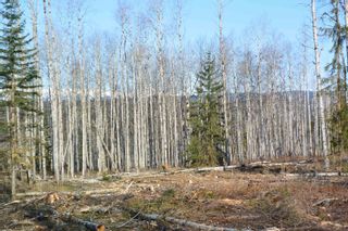 Photo 28: DL 811 16 Highway in New Hazelton: Hazelton Land for sale in "New Hazelton @ Carnaby" (Smithers And Area (Zone 54))  : MLS®# R2679366