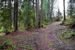 Photo 10: LOTS C D E KING Road in Gibsons: Gibsons & Area Land for sale (Sunshine Coast)  : MLS®# R2212343
