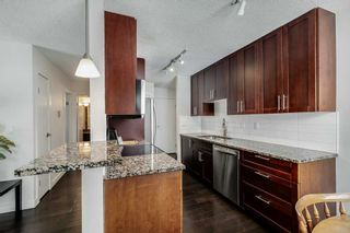 Photo 9: 412A 4455 Greenview Drive NE in Calgary: Greenview Apartment for sale : MLS®# A2124113
