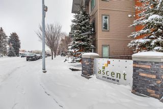 Photo 48: 339 2727 28 Avenue SE in Calgary: Dover Apartment for sale : MLS®# A2031901