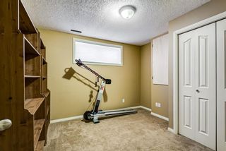 Photo 36: 177 Everridge Way SW in Calgary: Evergreen Detached for sale : MLS®# A1171258