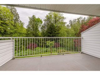 Photo 11: 10 3351 HORN Street in Abbotsford: Central Abbotsford Townhouse for sale in "EVANSBROOK ESTATES" : MLS®# R2164029