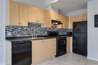 Photo 12: 304 1053 10 Street SW in Calgary: Beltline Apartment for sale : MLS®# A1253519